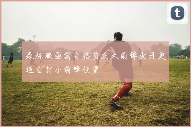 森林狼亟需合格首发大前锋麦丹更适合打小前锋位置